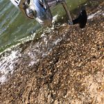Baxter smith - @baxter_smith190 - Instagram