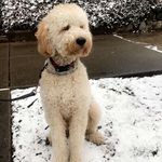 Baxter Smith “The Dood” - @baxter__dood - Instagram