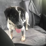 Phineas Baxter Stapleton - @phineasstapes - Instagram