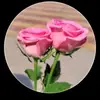bayan Abdullah - @majed.alabdullah56 - TikTok