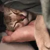Bayan - @bayan.abdullah16 - TikTok