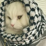 Bayan Odeh - @byan.odeh - Instagram