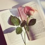 Bibo baloons - @bayan_odeh14 - Instagram
