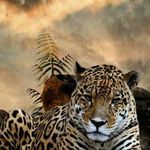 baye mbow - @baye6190 - Instagram