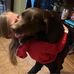Baylee Baker - Facebook