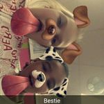 baylee baker - @softball_4_life_2006 - Instagram