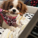 Baylee Bennett - Facebook