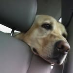 BayleeBennett - @bayleebennett2703 - Instagram