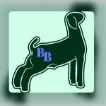 Be Bold Showmanship - By Baylee Bennett - @beboldshowmanship_bybaylee - Instagram