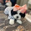 BAYLEE J 🎀 - @baylee_jones1 - TikTok