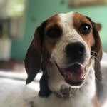 Baylee May - @its_bayleeeeeee - Instagram