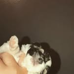Baylee May Johnson - @baylee_._may - Instagram