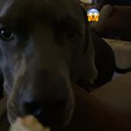 Baylee Patrick - Facebook