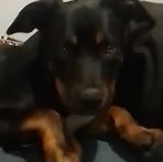 Bailey Saunders - Facebook