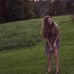 Baylee Todd - Facebook
