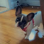 Latonya Waller - @baylee_waller - Instagram