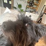 Bayleigh Smith - @bayleigh974 - Instagram