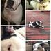 Bayley Smith - Facebook