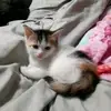 Baelyn Johnson - @baelyn.johnson - TikTok