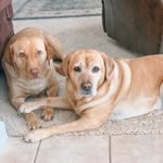 Belle & Baylor - @belleandbaylor - Instagram