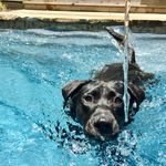 Baylor Carter - @paws_off_my_bay - Instagram