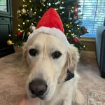 Baylor Gibson - @baylor_gibson234 - Instagram