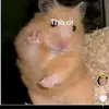 Baylor Johnson - @baylor.johnson8 - TikTok