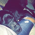 Baylor Jackson Jones - @baylorjacksonjones - Instagram