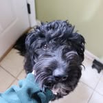 Baylor Rue Jones - @baylorrue_doodle - Instagram