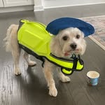 #DailyBailey - @baylorleejones_1 - Instagram