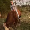 baylorwilson2 - @baylorwilson2 - TikTok