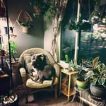 Bayne Smith - @plantsandpibbles - Instagram