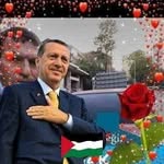 Bayram Akogku - @akoglu.bayram - Instagram