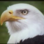 bayram akoglu - @akoglubayram7 - Instagram