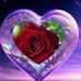 Bayram Erdem - Facebook