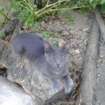 BAYRON - @bayron.madrid - Instagram