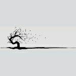 Bayron Madrid Arismendi - @brn__stupid - Instagram