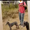 bayronrivera997 - @bayronrivera997 - TikTok