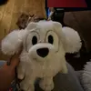 luhrmannbaz - @luhrmannbaz - TikTok