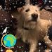 Barry Robinson - Facebook