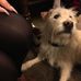 Baz Robinson - Facebook
