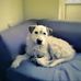 Baz Robinson - Facebook