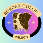 @b.c.wilson_2023 - Instagram