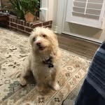 BC Wilson - @bcwilson1937 - Instagram