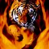 Beau Adkins - @beau.adkins0 - TikTok