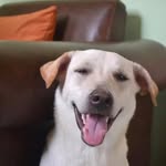 Bea - @beaarcelon - Instagram