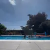 bea - @bea.barnes - TikTok