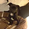Bean - @beanbarnes - TikTok