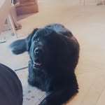 ❤ Bear Barton ❤ - @bear.barton - Instagram