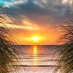 Beate Beckmann - @beabeck51 - Instagram